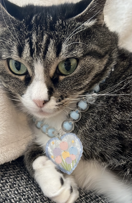 Kawaii pet collar beaded cat collar small dog necklace cute pet jewelry adjustable pet necklace handmade pet accessories aesthetic pet gift